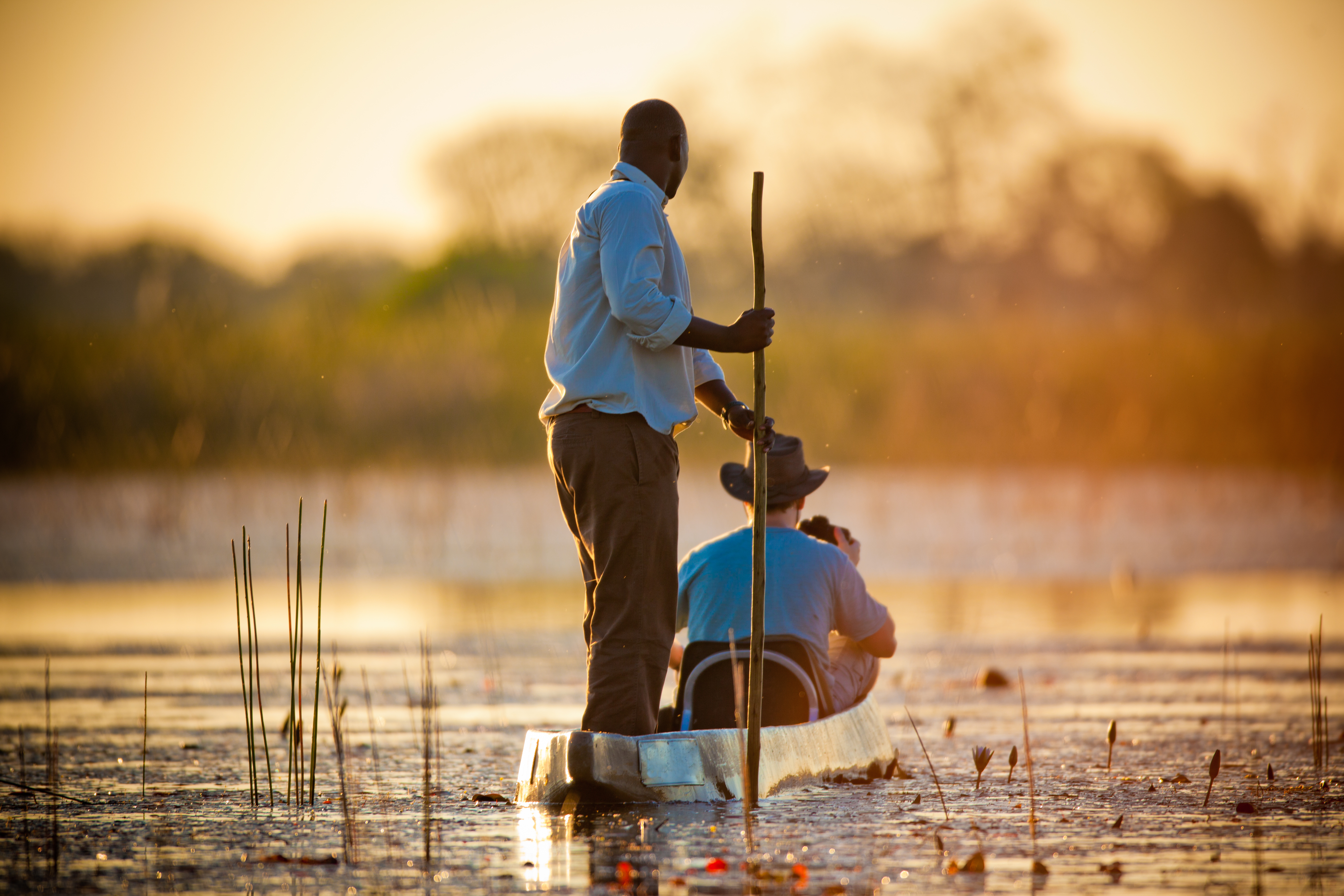 Water landscape in the Okavango Delta