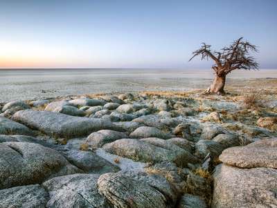 Kalahari & Salt Pans