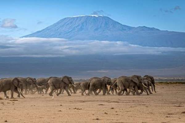 Amboseli National Park in Kenya
