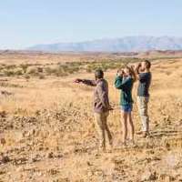 Guided safari