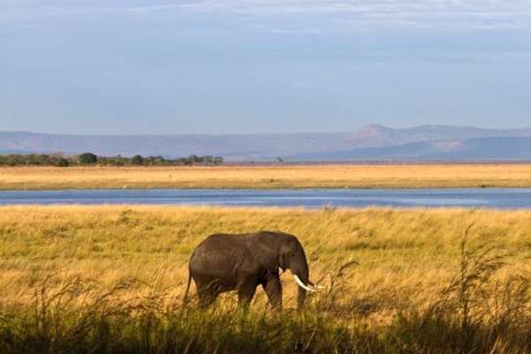 Katavi National Park in Tanzania