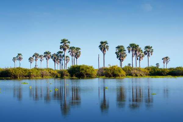 Nyerere National Park in Tanzania