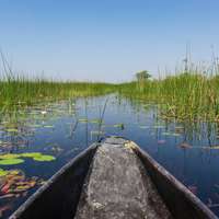 Mokoro safari in Botswana
