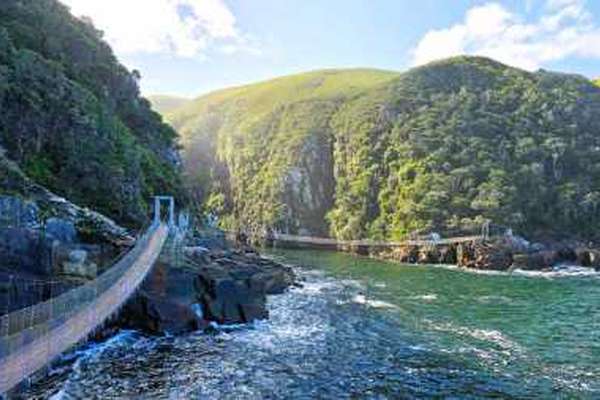 Suspension bridge in Tsitsikamma National Park