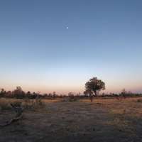 Kalahari Landschaft