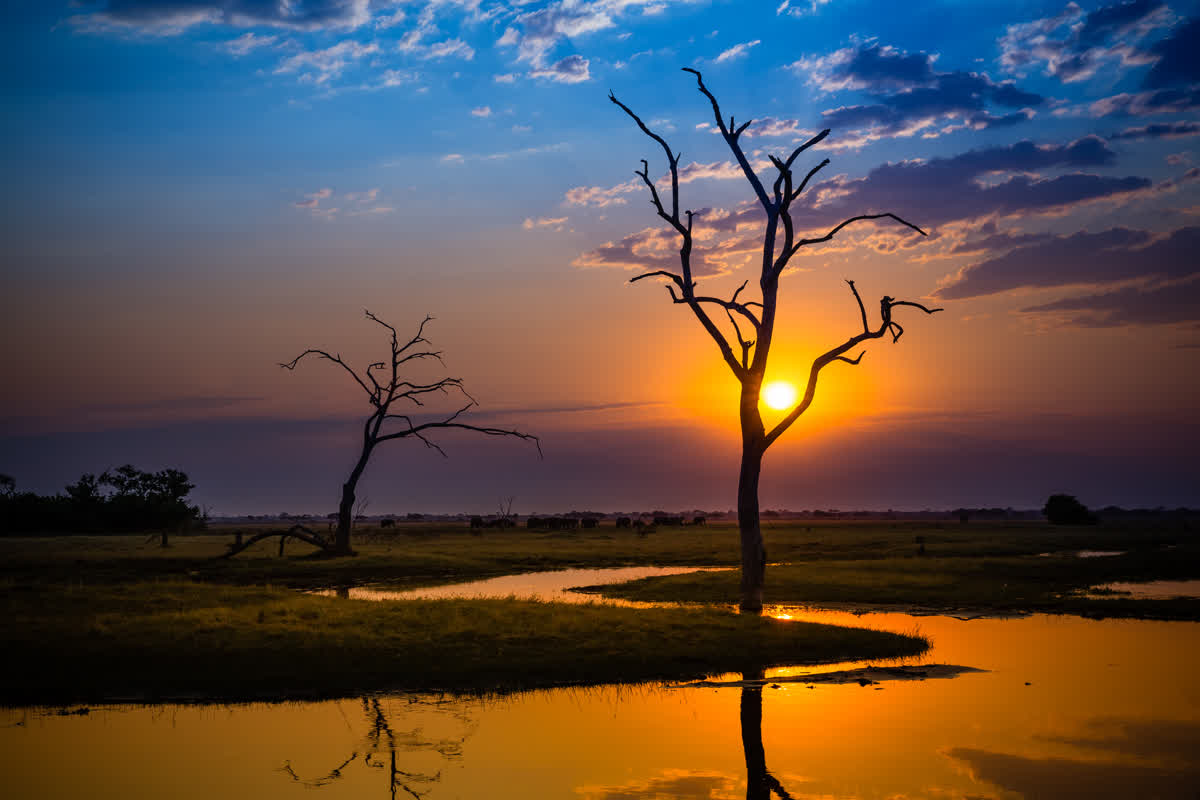 Sonnenuntergang über dem Chobe River