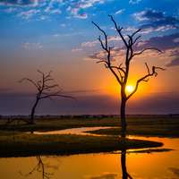 Sonnenuntergang am Chobe River