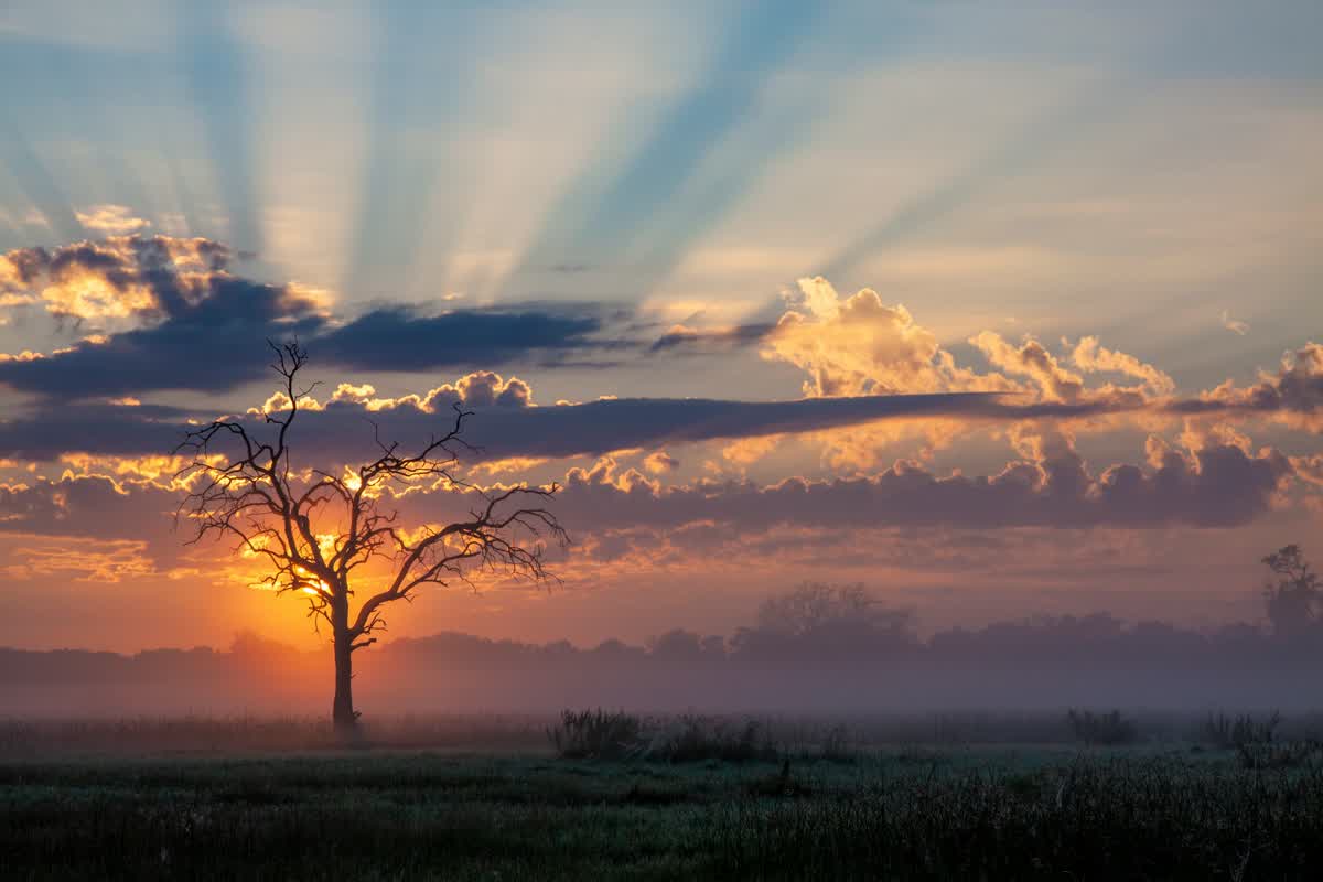 Sonnenuntergang über der Wildnis von Moremi