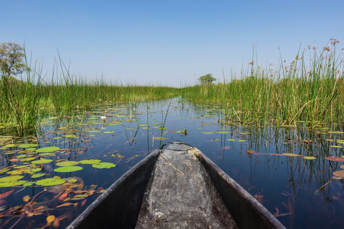Mokoro in den Kanälen des Okavango Deltas