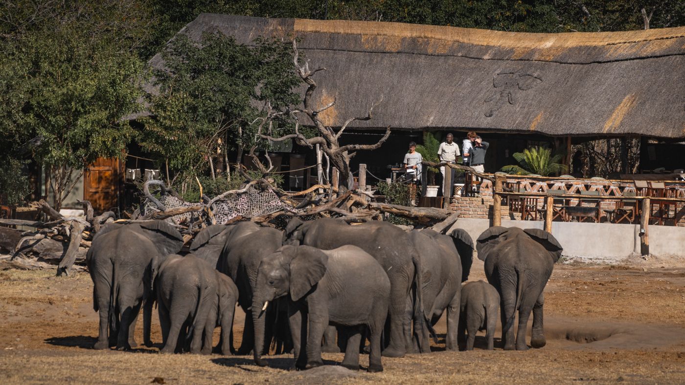 Elefanten vor dem Khulu Bushcamp